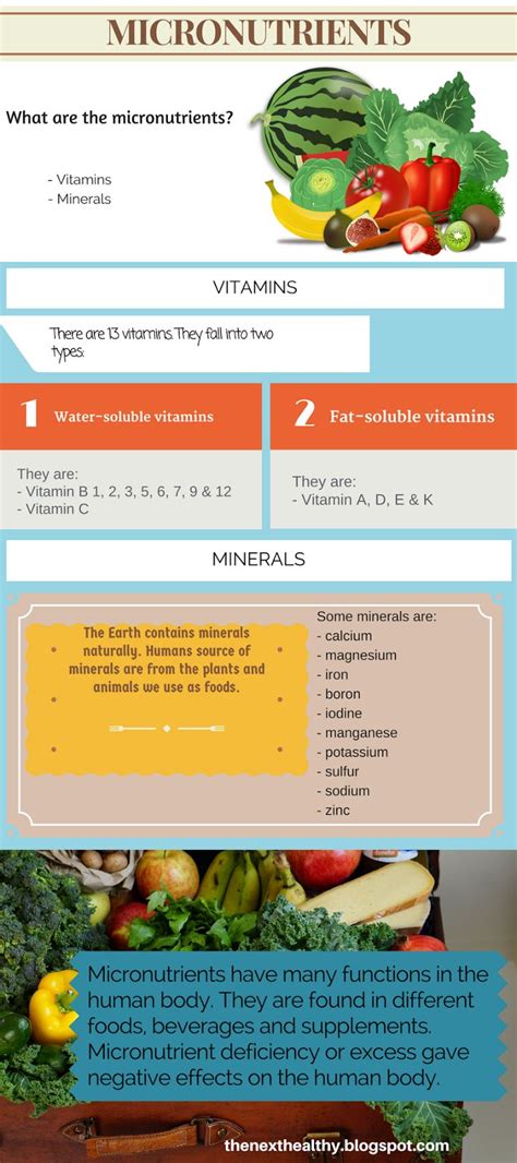 Micronutrients - What they are and dietary sources | Healthy, Nutrition ...