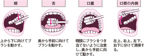 口腔ケアの目的とポイント｜食事をしなくても口腔ケアが必要なのはなぜ？ 看護roo カンゴルー