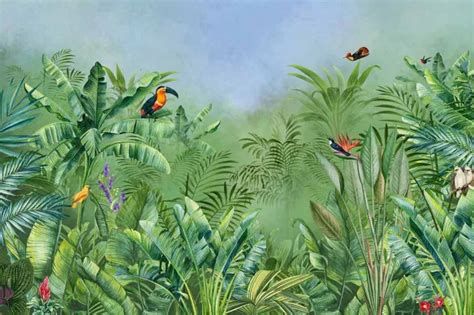 Papier Peint Jungle Oiseaux Tropicaux Tapisserie Jungle Et Tropicale