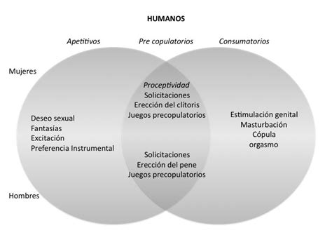 El Comportamiento Homosexual Y Sus Bases Neurales Universidad Veracruzana