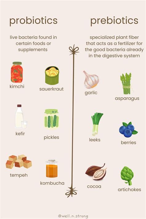 Probiotics vs prebiotics – Artofit