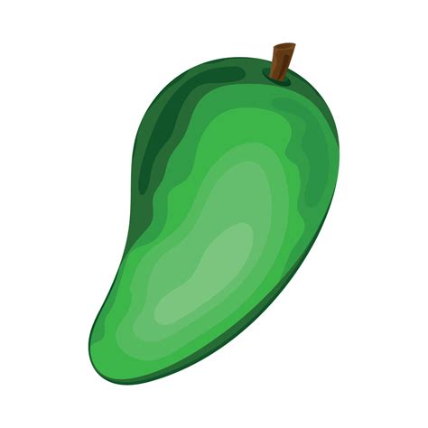 mango bug fresh fruit 10478655 Vector Art at Vecteezy