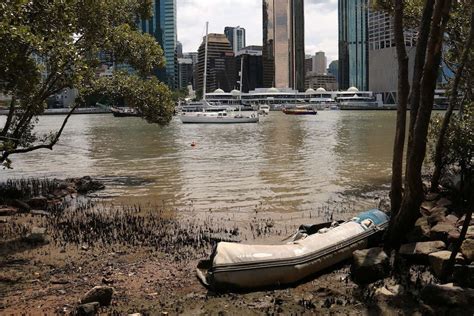 Why Is The Brisbane River Brown And Not Blue Abc News