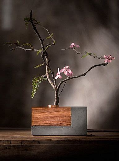 Pin By Moss Cottage On The Potting Shed Wood And Concrete Ikebana