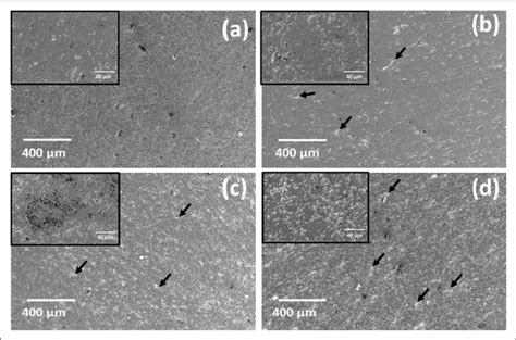 Scanning electron micrograph of the composites (a) T1, (b) T2, (c) T3 ... 
