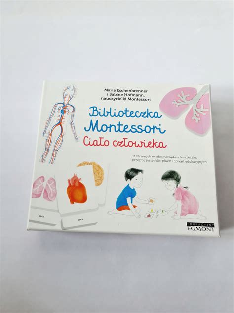 Biblioteczka Montessori Człowiek Niska cena na Allegro pl