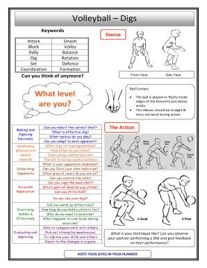 Fillable Online Volleyball Digs Fax Email Print Pdffiller