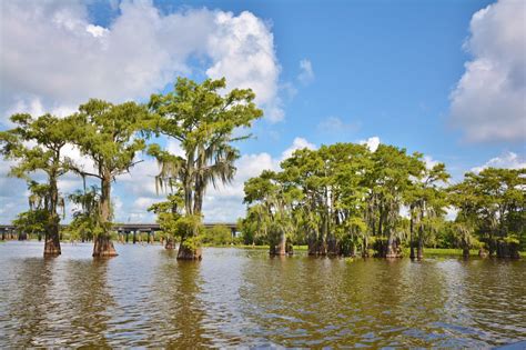 Life With 4 Boys: Atchafalaya Basin Swamp Tours with McGee's Landing # ...