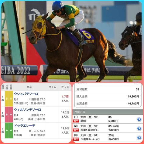 1月6日 土🏆京都金杯🏆g3🏆京都11r 予想😆🌟🌟🌟🌟去年、中山金杯炸裂的中 ｜西京の馬券師三宅