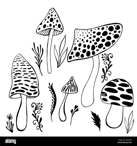 Mushroom fantasy Black and White Stock Photos & Images - Alamy