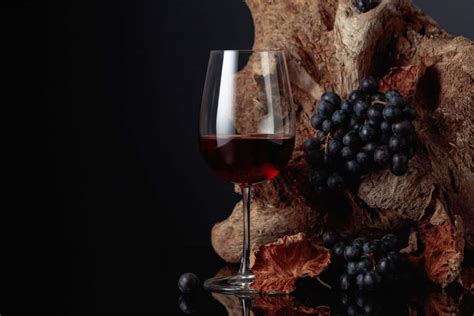 merlot  cabernet sauvignon    differences