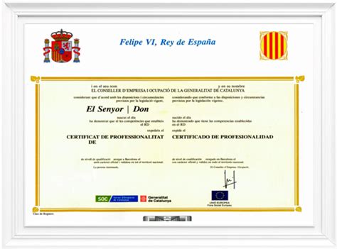 Certificado De Profesionalidad De Actividades Auxiliares De Almac N