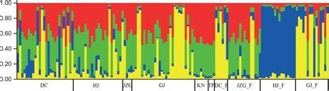 Bar Plot Of Individuals Ancestry As Inferred From Bayesian Clustering