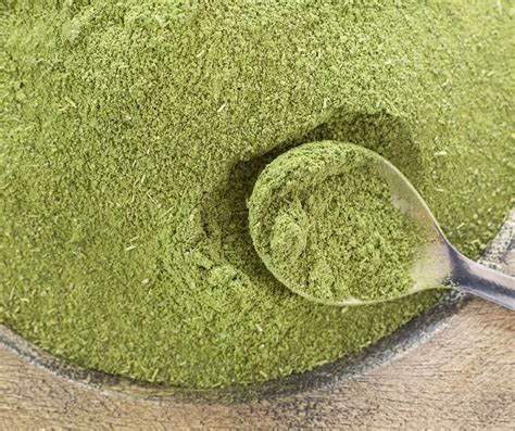 Where Can I Buy Moringa Powder Green Living Zone