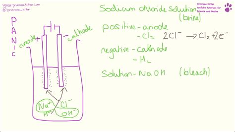 Electrolysis Of Sodium Chloride Diagram