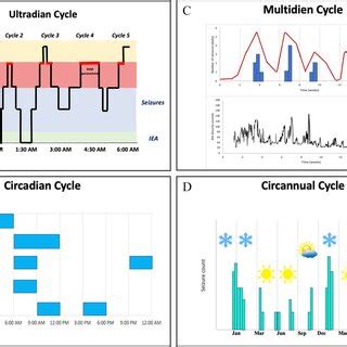 The Interaction Between Sleep and Epilepsy