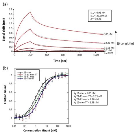 Binding Studies With The 11 Mer And Tt Derivatives A Biolayer