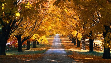 fall-country-road-wallpaper-1 – Pentecostal Church of Basher