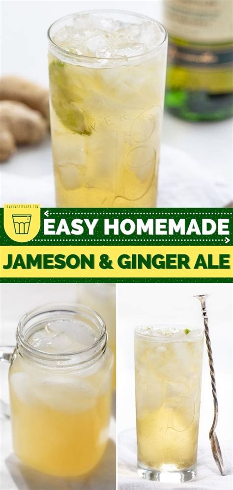 Jameson And Ginger Ale Irish Buck Recipe Ginger Ale Homemade