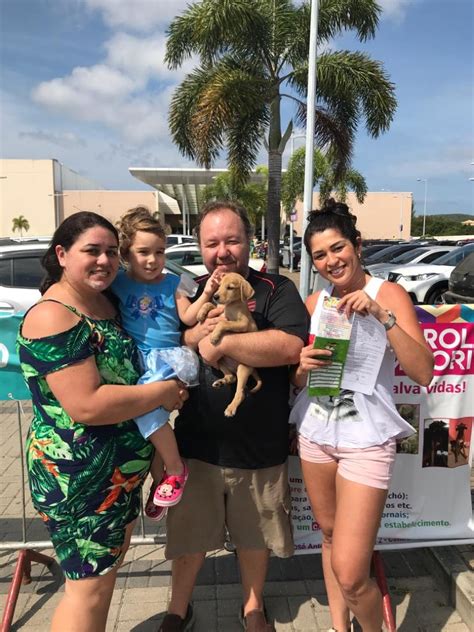 Feira de adoção de cães e gatos é realizada neste sábado em Cabo Frio