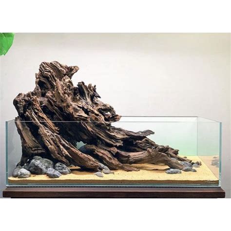 Kayu Rentek Aquascape Paludarium Size XL Lazada Indonesia