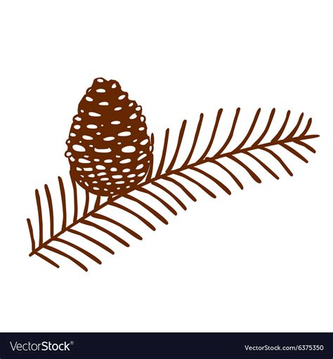 Hand drawn pine leaf with acorn Royalty Free Vector Image