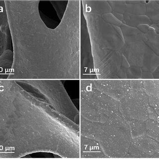 Sem Images Of Ni Foam A B And Ni Foam With Absorbed Monolayer Ti C