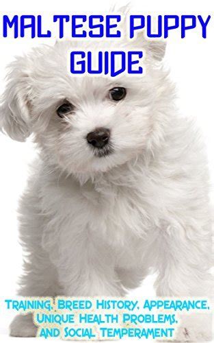 Maltese Puppy Training Guide: Training, Breed History, Appearance ...