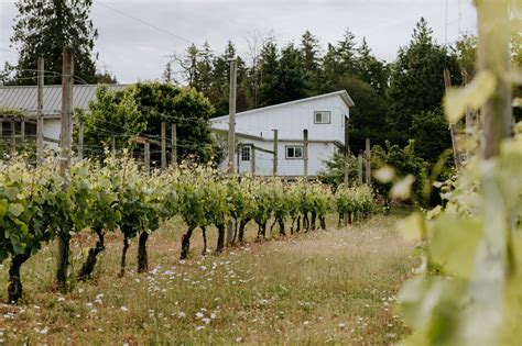 Tasting Terroir • British Columbia Magazine