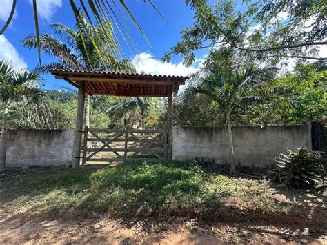 Fazenda Sítio 25000 m² em Itapina em Colatina por R 700 000 Viva Real