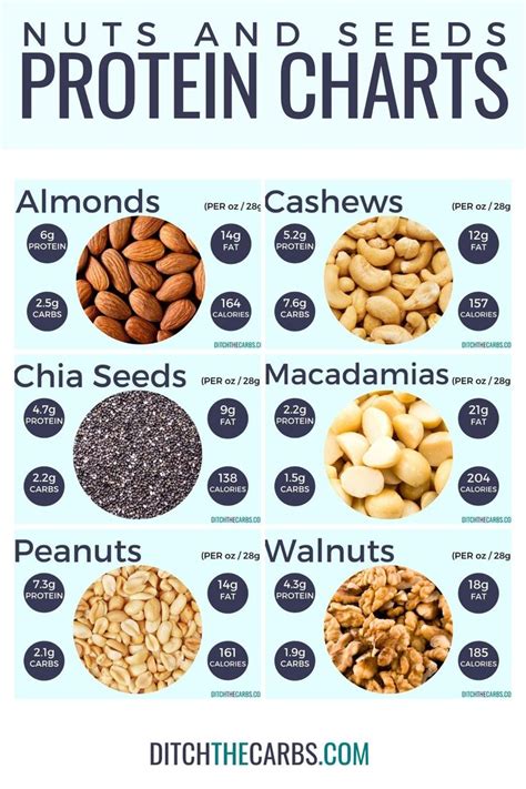 The Best High Protein Nuts And Seeds Protein Charts High Protein Low Carb Recipes High