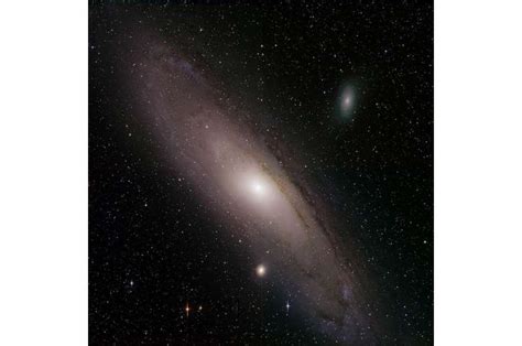 Zwicky Transient Facility nabs several supernovae a night