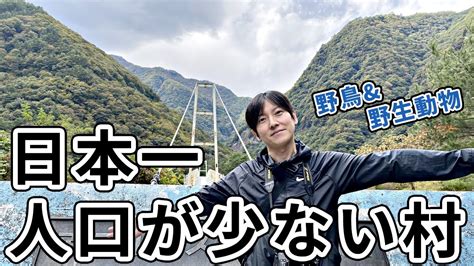 【野鳥･野生動物撮影】日本一人口が少ない村に来た Nikon Z9 Z400mmf45vrs 動物（犬・猫 他色々）【まとめ動画】