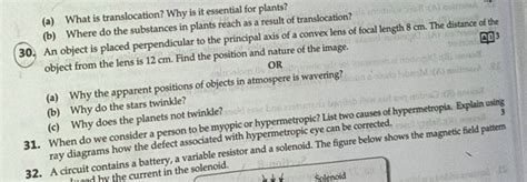 (a) What is translocation? Why is it essential for plants? (b) Where do t..