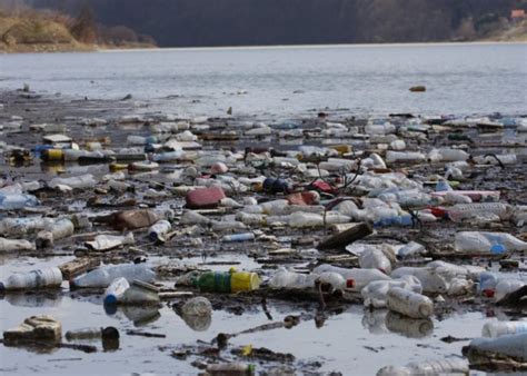 Los Plásticos Degradados En Los Ríos Un Reservorio De Bacterias Que