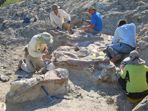 What To Expect On A Fossil And Archaeology Dig Braving The Elements