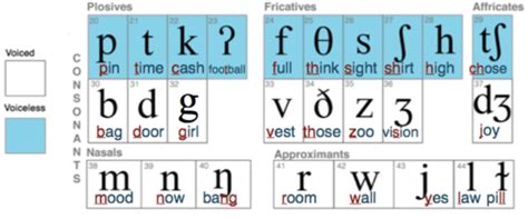 Consonant Sounds Pronunciation Studio