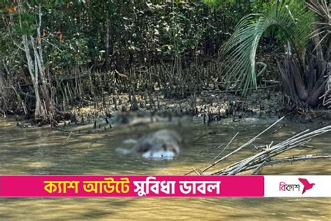 সুন্দরবনে খাল থেকে বাঘের অর্ধগলিত মরদেহ উদ্ধার Online Version