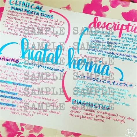 Hiatal Hernia Nursing Notes Concept Map Medical Surgical Semester Etsy