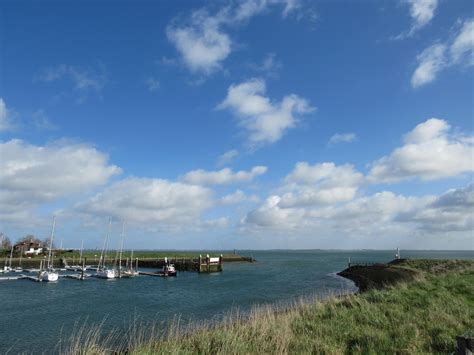 Kats Door Geeske Harkema Kats Wolken Zon En Wind Bij De Flickr