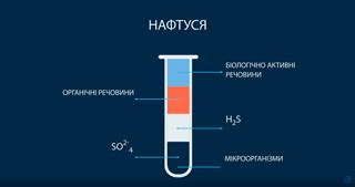 Мин вода нафтуся состав