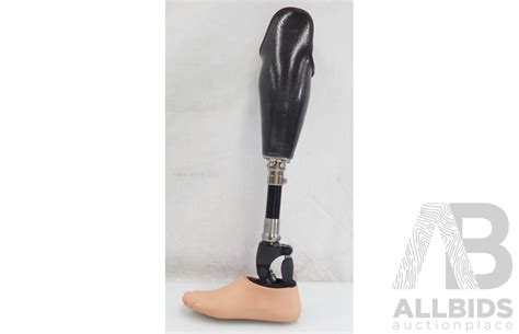 Apc Prosthetics Lower Left Leg Lot 1466335 Allbids