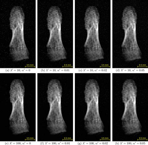 Figure 8 From Electron Paramagnetic Resonance Image Reconstruction With