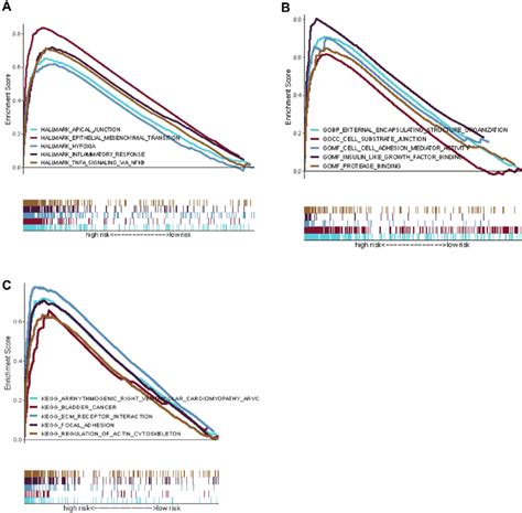 Gene Set Enrichment Analysis Of Biological Functions And Pathways A Download Scientific