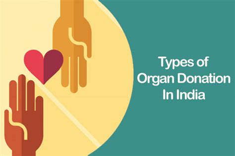 Types Of Organ Donation In India The Health