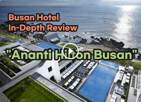 All About Ananti Hilton Busan Real Reviews From Korean Travelers And A