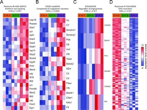 Leading Edge Heatmaps Of Selected GSEA Results The Expression Of The