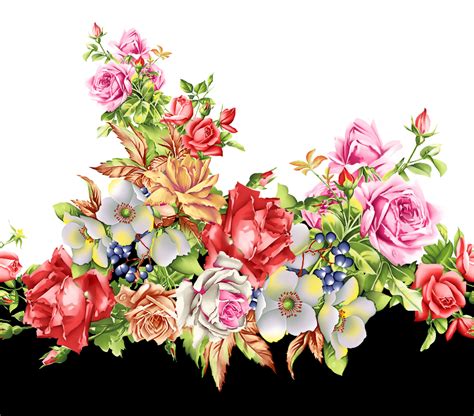 Beautiful Flower Drawings Beautiful Flowers Flower Painting Flower