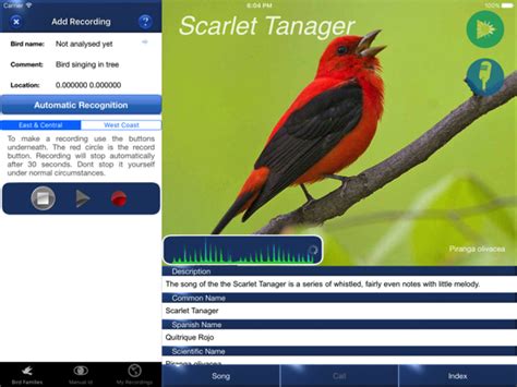 Bird Song Id Usa Automatic Recognition And Reference Songs And Calls