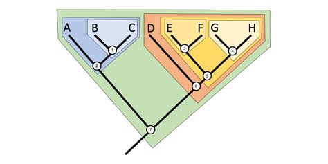 24 Phylogenetic Trees And Classification Digital Atlas Of Ancient Life